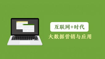 互聯網時代下的大數據營銷與應用 驅動銷售新變革